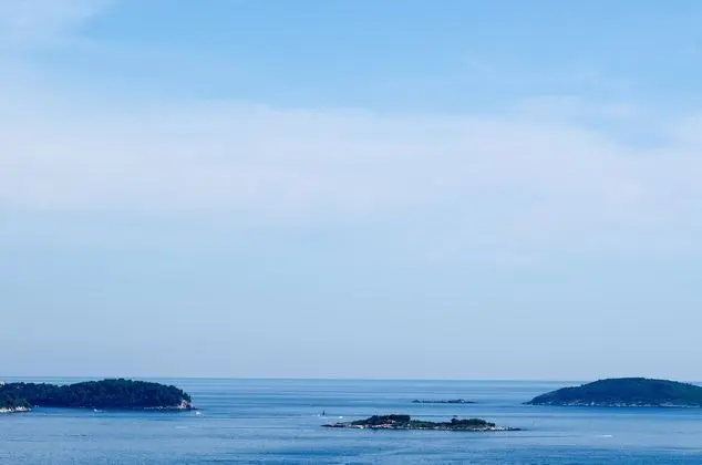 Tek Büyük Yataklı Oda (Double Room with Balcony and Sea View)