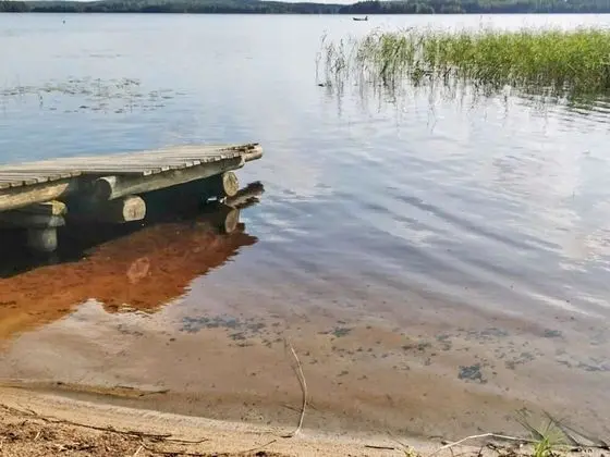 Ev