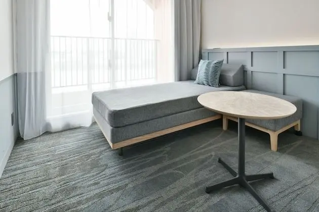 Superior Oda, Sigara İçilmez (2 Beds)