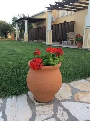 Basic Stüdyo, 1 Çift Kişilik Yatak ve Çekyat