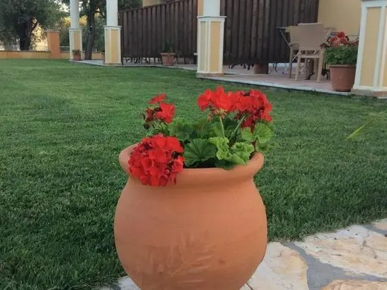 Oda, 1 Yatak Odası, Balkon