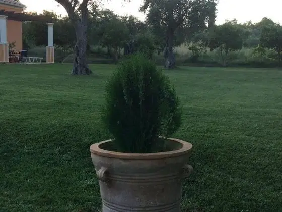 Oda, 1 Yatak Odası, Balkon