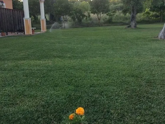 Oda, 1 Yatak Odası, Balkon