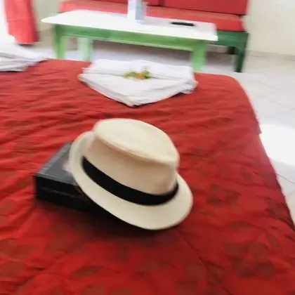 Oda, 1 Yatak Odası, Teras