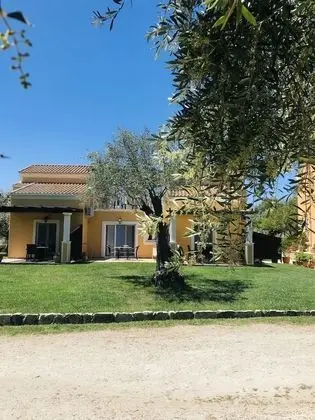 Oda, 1 Yatak Odası, Teras