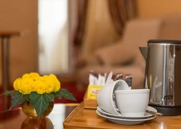 Premium İki Ayrı Yataklı Oda, 2 Tek Kişilik Yatak