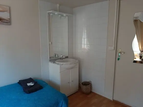Standard Tek Büyük Yataklı Oda (Silex)