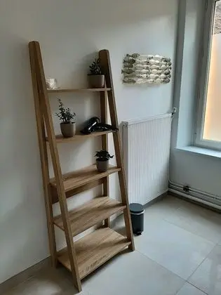 Standard Tek Büyük Yataklı Oda (Silex)
