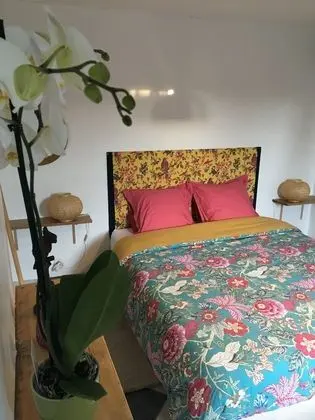 Comfort Ev, 1 Yatak Odası