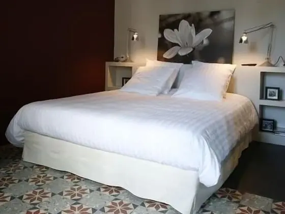 Premium Tek Büyük Yataklı Oda, Banyolu/Duşlu