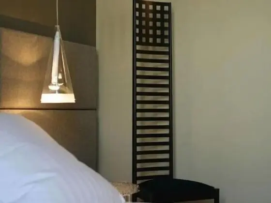 Premium Tek Büyük Yataklı Oda, Banyolu/Duşlu