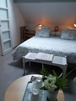 Comfort Tek Büyük veya İki Ayrı Yataklı Oda (Bouleau)