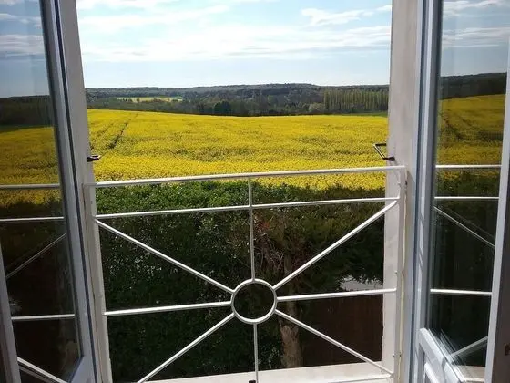 Tek Büyük veya İki Ayrı Yataklı Oda (Vigne)