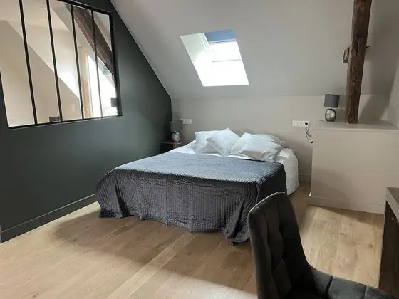 Stüdyo, Banyolu/Duşlu, Üzüm Asması Manzaralı (Studio 2)