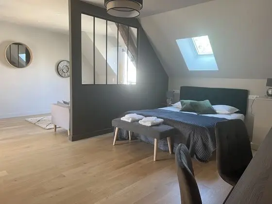 Stüdyo, Banyolu/Duşlu, Üzüm Asması Manzaralı (Studio 2)