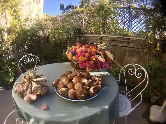 Family Dört Kişilik Oda, 2 Çift Kişilik Yatak, Özel Banyo (Lilah)