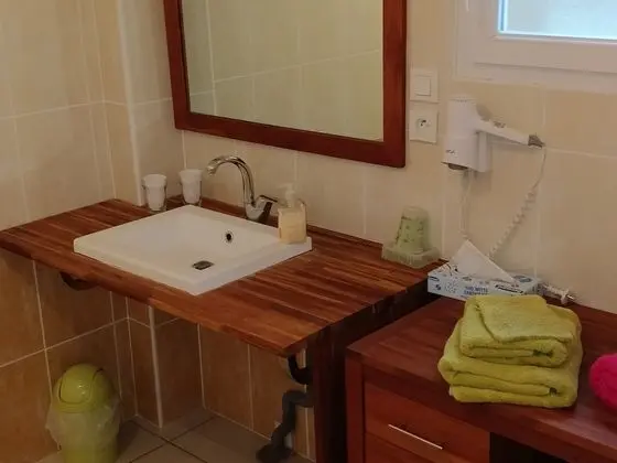 Classic Tek Büyük Yataklı Oda, Özel Banyo (Nectar)