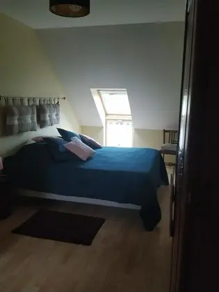 Tek Büyük Yataklı Oda, Özel Banyo (Elixir)