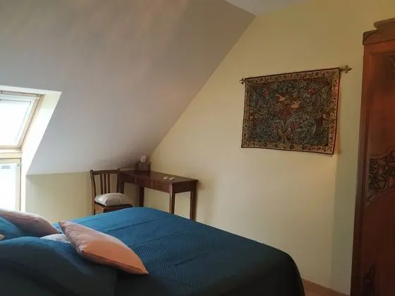 Tek Büyük Yataklı Oda, Özel Banyo (Elixir)