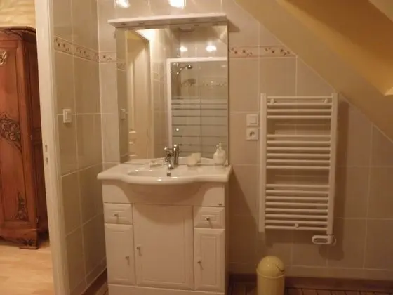 Tek Büyük Yataklı Oda, Özel Banyo (Elixir)