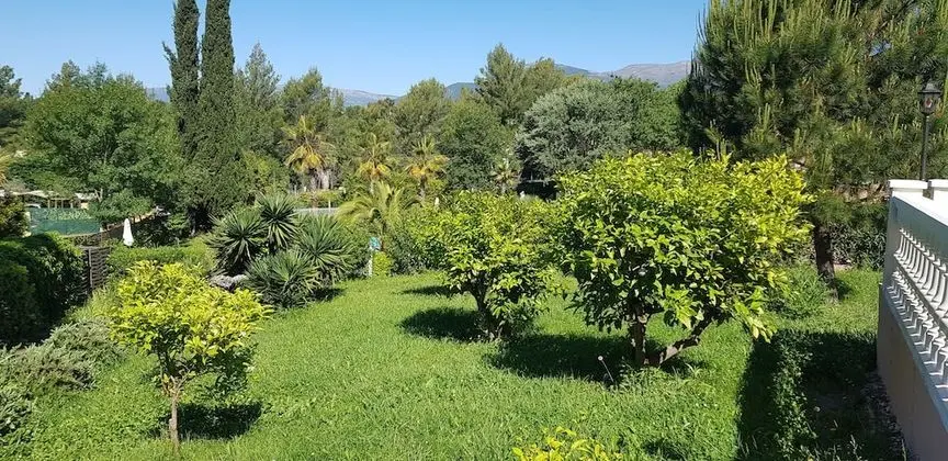 Luxury Tek Büyük veya İki Ayrı Yataklı Oda