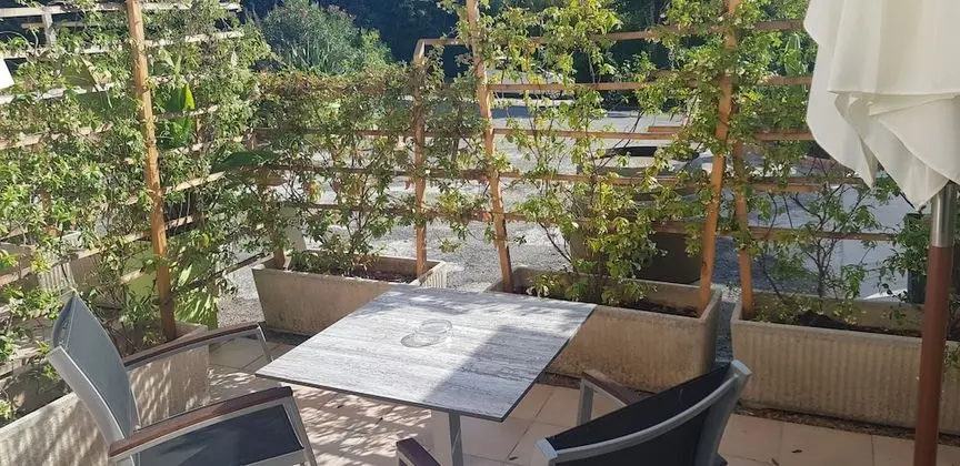 Superior Tek Büyük veya İki Ayrı Yataklı Oda