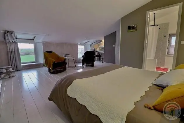 Comfort Tek Büyük Yataklı Oda (Fée Viviane)