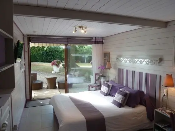 Comfort Tek Büyük Yataklı Oda, Banyolu/Duşlu (Chambre JARDIN)