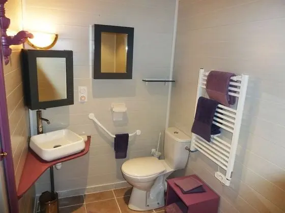 Comfort Tek Büyük Yataklı Oda, Banyolu/Duşlu (Chambre JARDIN)