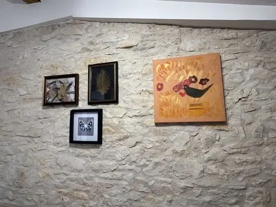 Tek Büyük Yataklı Oda (Chamonix)