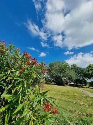 Exclusive Ağaç Ev, Banyolu/Duşlu