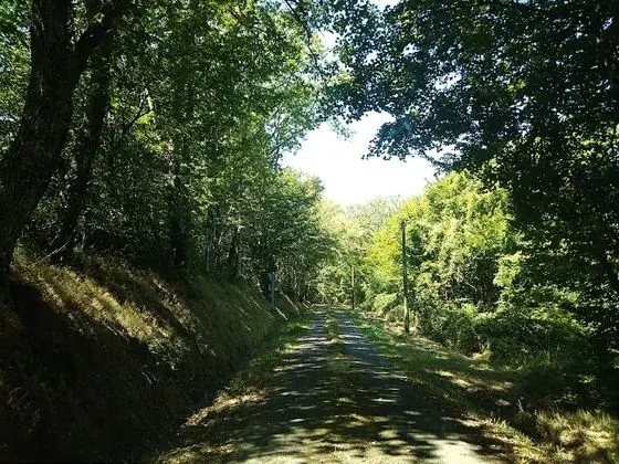 Tek Büyük Yataklı Oda, Banyolu/Duşlu, Avlu Manzaralı (Chambre Zen)