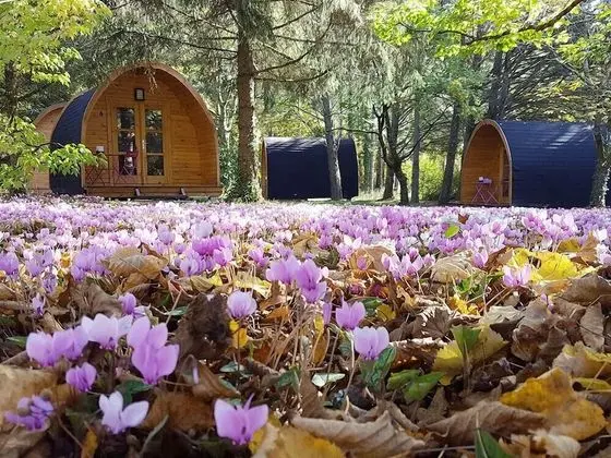 Dağ Evi, Ortak Banyo