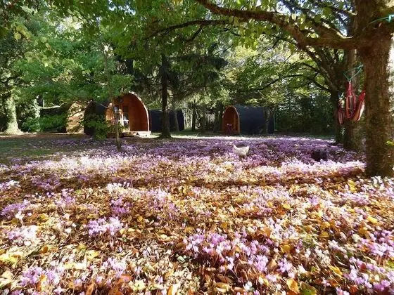 Dağ Evi, Ortak Banyo