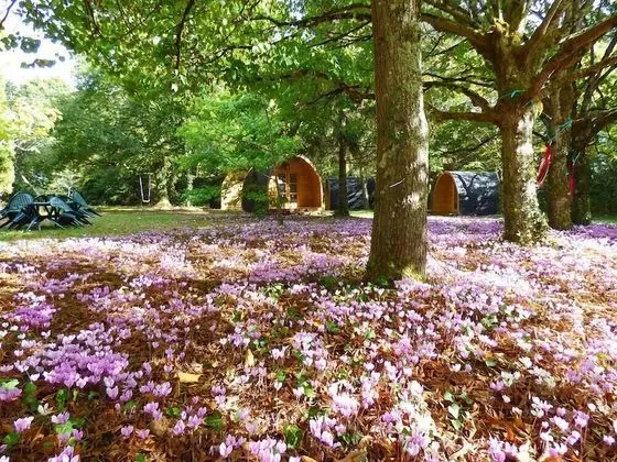 Dağ Evi, Ortak Banyo