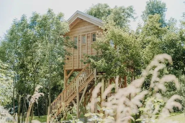 Standard Kır Evi, Özel Banyo, Dağ Manzaralı (Cabane couple)