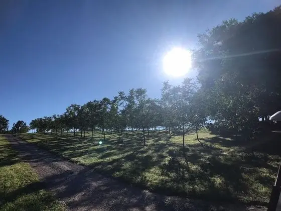 Grand Kulübe, Sıcak Su Havuzu, Tepe Manzaralı