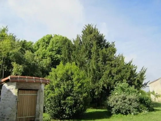 Comfort Tek Büyük Yataklı Oda (La Rochelle)