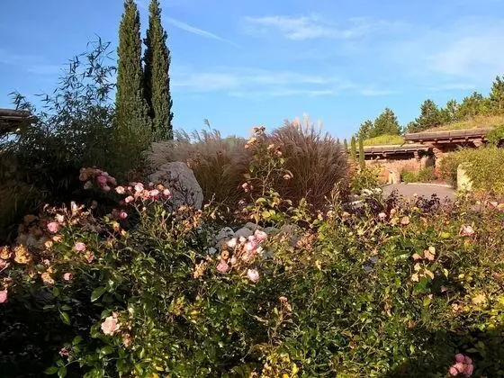 Basic Dağ Evi, Banyolu/Duşlu, Bahçe Manzaralı (Cocooning)