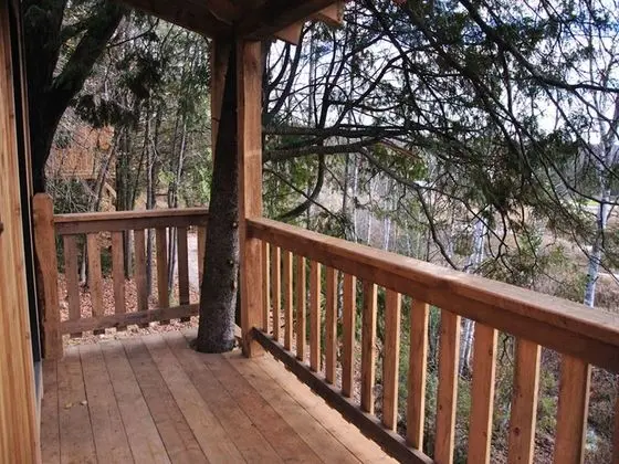 Cabane dans Les arbres le colibri