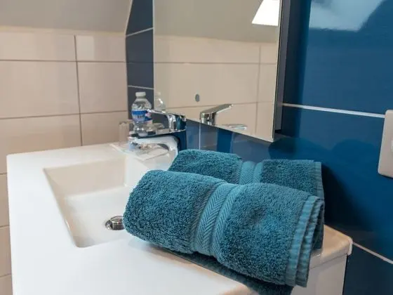 Standard Tek Büyük Yataklı Oda, Engellilere Uygun, Özel Banyo (Chambre Romance)