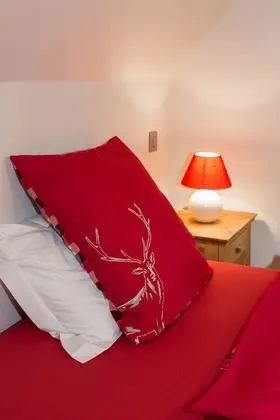 Superior Tek Büyük veya İki Ayrı Yataklı Oda, Özel Banyo (Chambre Coin de Montagne)