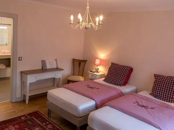 Superior Tek Büyük veya İki Ayrı Yataklı Oda, Özel Banyo (Coeur d'Alsace)