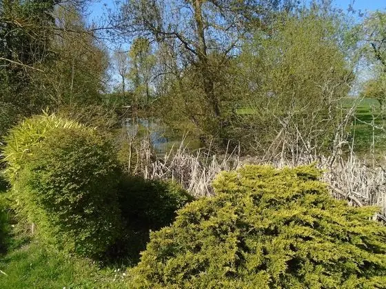 Family Süit (Suite 1er etage)