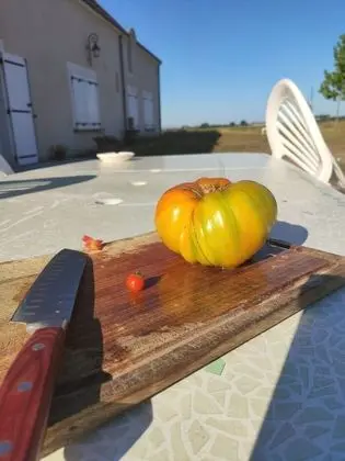 Süit, Bahçe Manzaralı (Suite rez de chaussée)