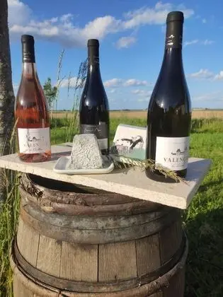 Süit, Bahçe Manzaralı (Suite rez de chaussée)