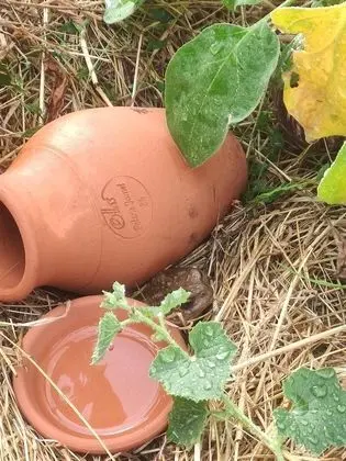 Süit, Bahçe Manzaralı (Suite rez de chaussée)