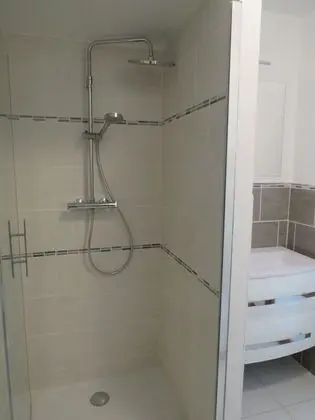 Tek Büyük Yataklı Oda, Özel Banyo (Romantique)