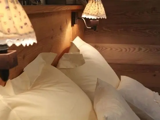 Comfort Tek Büyük Yataklı Oda, Banyolu/Duşlu, Bahçe Manzaralı