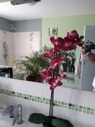 Tek Büyük Yataklı Oda, Bahçe Manzaralı (Il suffira d'un rêve)